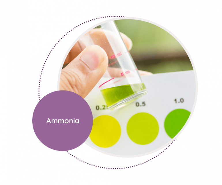 ammonia-mediscan-lab