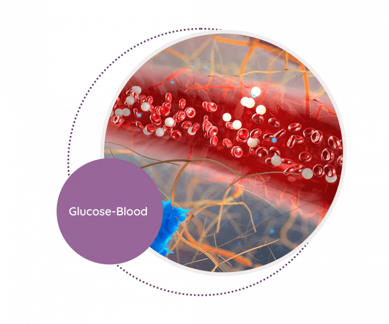 glucose-blood-mediscan-lab