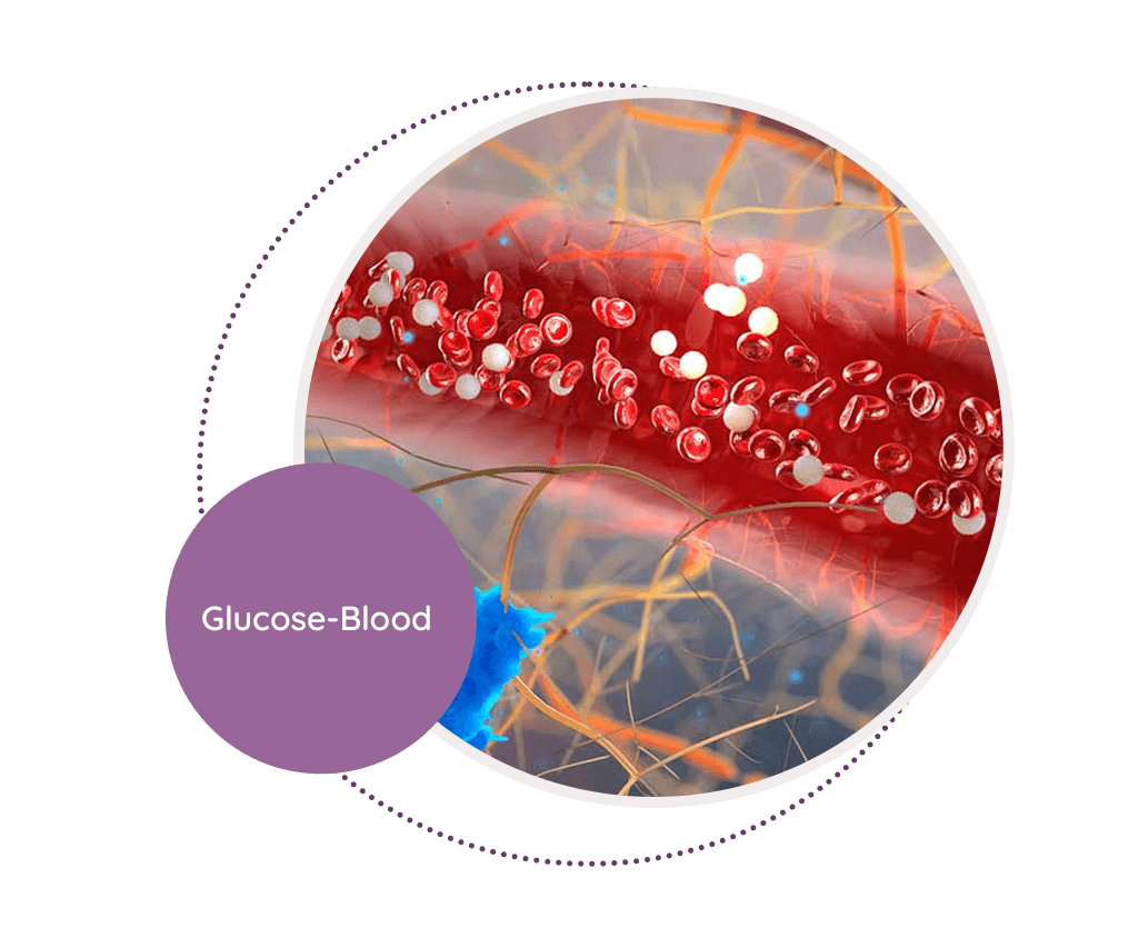 Glucose Blood MediScan Lab