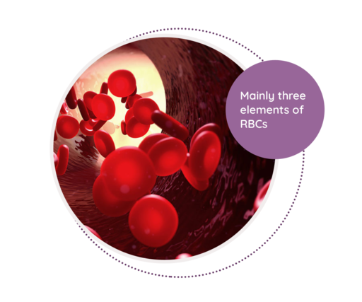 Red Cell Indices - MediScan Lab