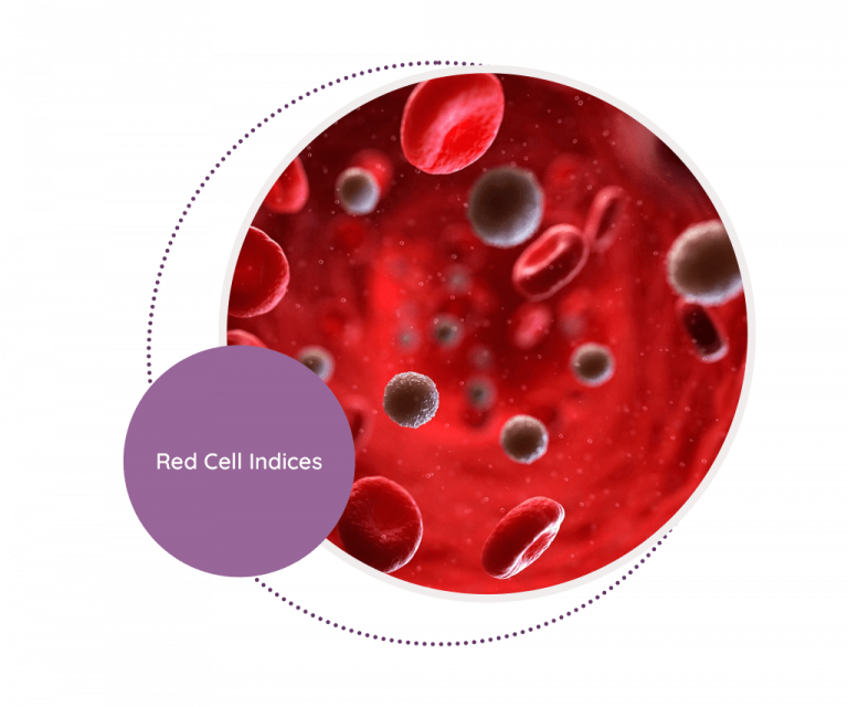 Red Cell Indices - MediScan Lab