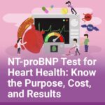 NT-proBNP Test for Heart Health Know the Purpose, Cost, and Results